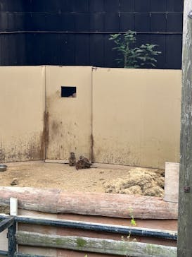 長崎バイオパークに投稿された画像（2024/10/28）