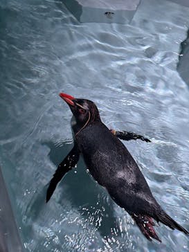 AOAO SAPPOROに投稿された画像（2024/10/28）