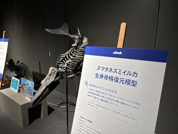 AOAO SAPPOROに投稿された画像（2024/10/28）