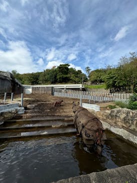 多摩動物公園に投稿された画像（2024/10/28）