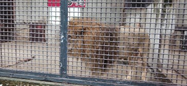 宇都宮動物園に投稿された画像（2024/10/28）
