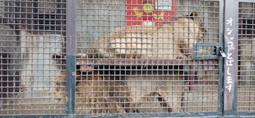 宇都宮動物園に投稿された画像（2024/10/28）