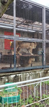 宇都宮動物園に投稿された画像（2024/10/28）