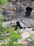 天王寺動物園に投稿された画像（2024/10/28）