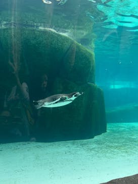 天王寺動物園に投稿された画像（2024/10/28）