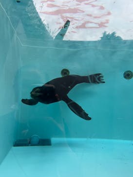 天王寺動物園に投稿された画像（2024/10/28）