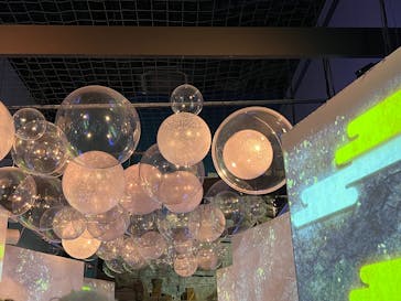 マクセル アクアパーク品川に投稿された画像（2024/10/28）