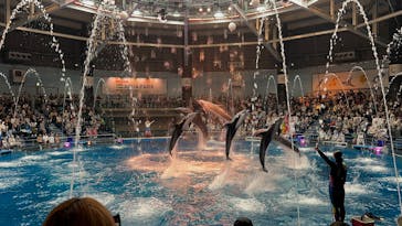 マクセル アクアパーク品川に投稿された画像（2024/10/28）