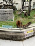 天王寺動物園に投稿された画像（2024/10/28）
