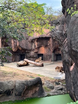 天王寺動物園に投稿された画像（2024/10/28）