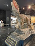 福井県立恐竜博物館に投稿された画像（2024/10/28）