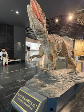 福井県立恐竜博物館に投稿された画像（2024/10/28）