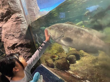 鴨川シーワールドに投稿された画像（2024/10/28）