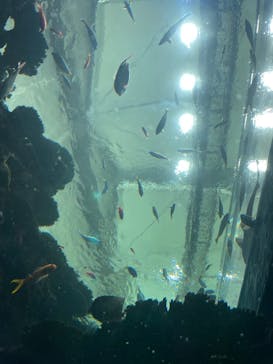 鴨川シーワールドに投稿された画像（2024/10/28）