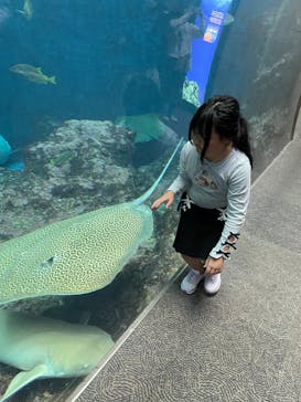 鴨川シーワールドに投稿された画像（2024/10/28）