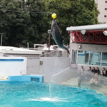 しながわ水族館に投稿された画像（2024/10/28）