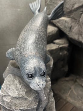 しながわ水族館に投稿された画像（2024/10/28）