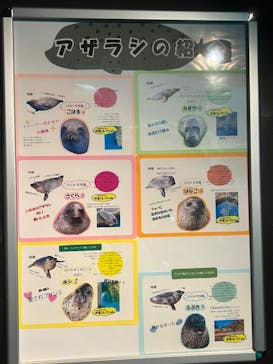 しながわ水族館に投稿された画像（2024/10/28）