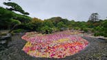 日本庭園　由志園に投稿された画像（2024/10/28）