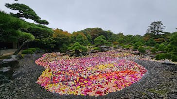 日本庭園　由志園に投稿された画像（2024/10/28）