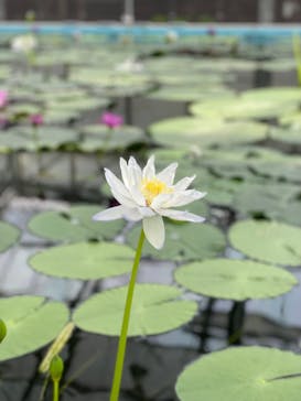 掛川花鳥園に投稿された画像（2024/10/28）