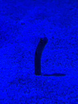 竹島水族館に投稿された画像（2024/10/28）