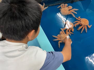 竹島水族館に投稿された画像（2024/10/28）