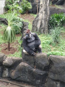 千葉市動物公園に投稿された画像（2024/10/28）