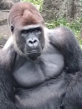 千葉市動物公園に投稿された画像（2024/10/28）