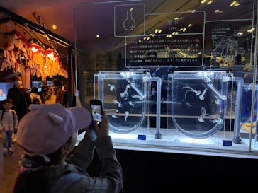 すみだ水族館に投稿された画像（2024/10/28）