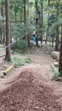 冒険の森のせに投稿された画像（2024/10/28）