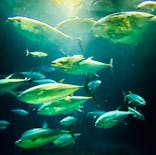 葛西臨海水族園に投稿された画像（2024/10/28）