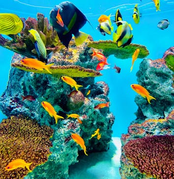 葛西臨海水族園に投稿された画像（2024/10/28）