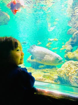 葛西臨海水族園に投稿された画像（2024/10/28）