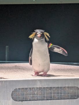 AOAO SAPPOROに投稿された画像（2024/10/28）