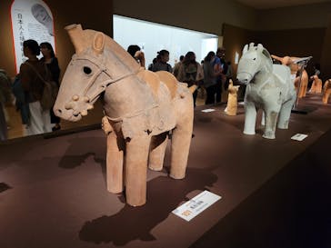 挂甲の武人 国宝指定50周年記念 特別展「はにわ」@東京国立博物館 平成館に投稿された画像（2024/10/28）