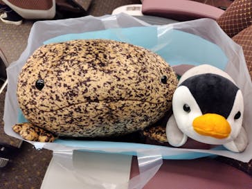 京都水族館に投稿された画像（2024/10/28）