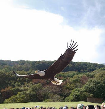 那須どうぶつ王国に投稿された画像（2024/10/28）