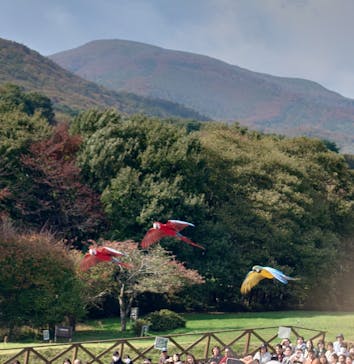 那須どうぶつ王国に投稿された画像（2024/10/28）