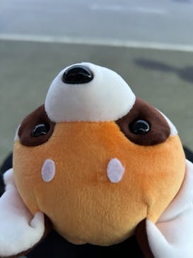 NESTA RESORT KOBE（ネスタリゾート神戸）に投稿された画像（2024/10/28）