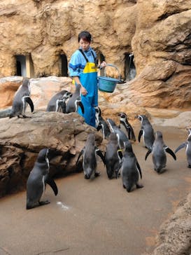 島根県立 しまね海洋館に投稿された画像（2024/10/28）