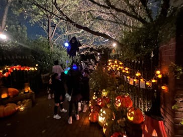 横浜イングリッシュガーデンに投稿された画像（2024/10/28）