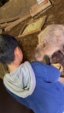 マクセル アクアパーク品川に投稿された画像（2024/10/28）