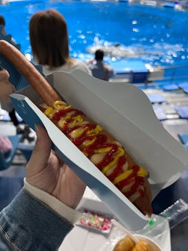 マクセル アクアパーク品川に投稿された画像（2024/10/28）