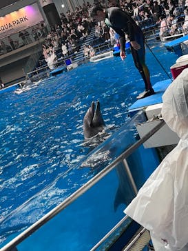 マクセル アクアパーク品川に投稿された画像（2024/10/28）