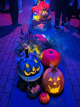 横浜イングリッシュガーデンに投稿された画像（2024/10/26）