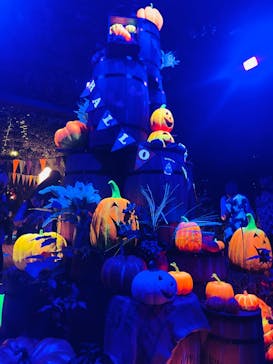 横浜イングリッシュガーデンに投稿された画像（2024/10/26）