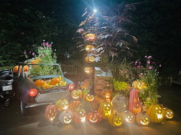 横浜イングリッシュガーデンに投稿された画像（2024/10/26）