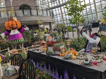 安城産業文化公園デンパークに投稿された画像（2024/10/28）