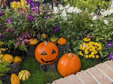 安城産業文化公園デンパークに投稿された画像（2024/10/28）